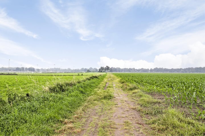 Bekijk foto 33 van Graafschap Hornestraat 15