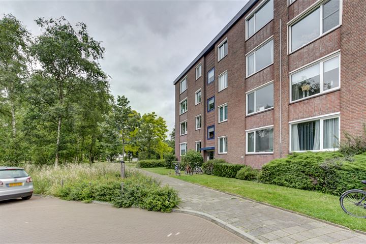 Bekijk foto 31 van Plutostraat 28