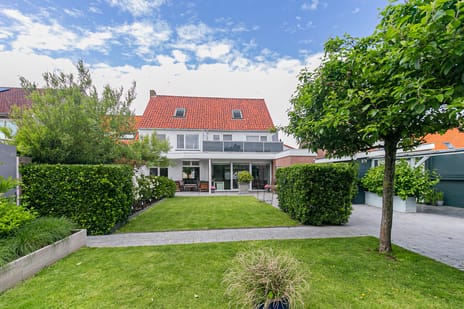 undefined main image