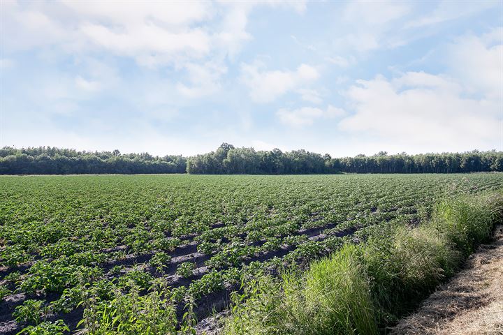 Bekijk foto 36 van Zuidervaart OZ 14