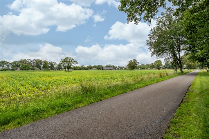 View photo 112 of Dennenweg 1