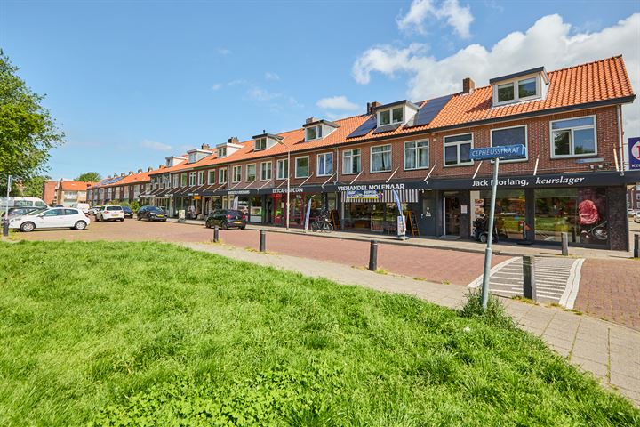 Bekijk foto 43 van Pegasusstraat 14