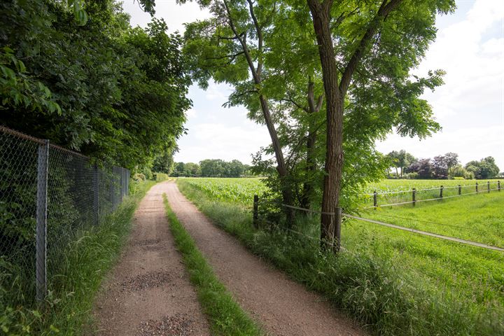 Bekijk foto 46 van Driestweg 10