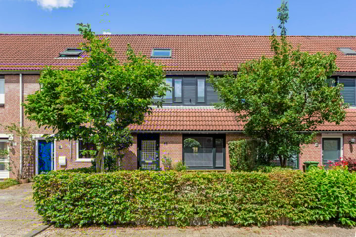 Bekijk foto van Jachtvalk 46