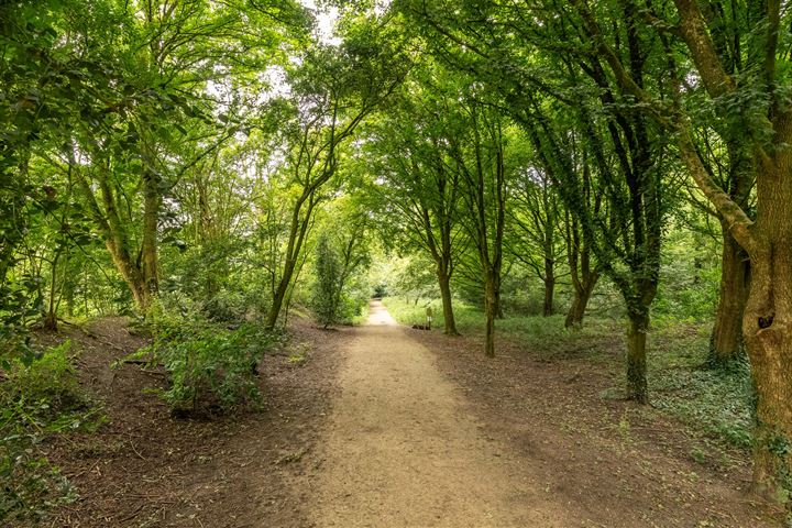 Bekijk foto 36 van Boomstede 468