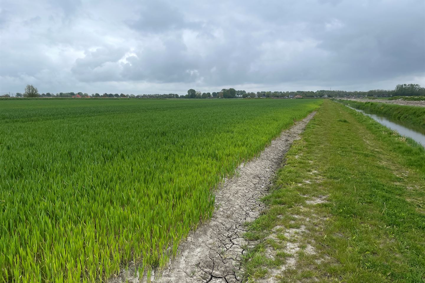 Bekijk foto 3 van Van der Lindenlaan