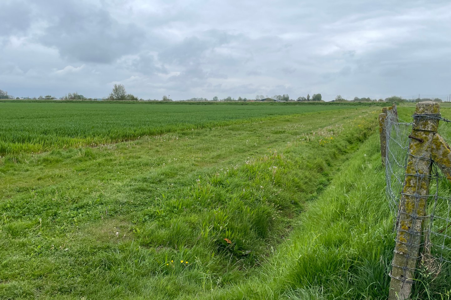 Bekijk foto 5 van Van der Lindenlaan