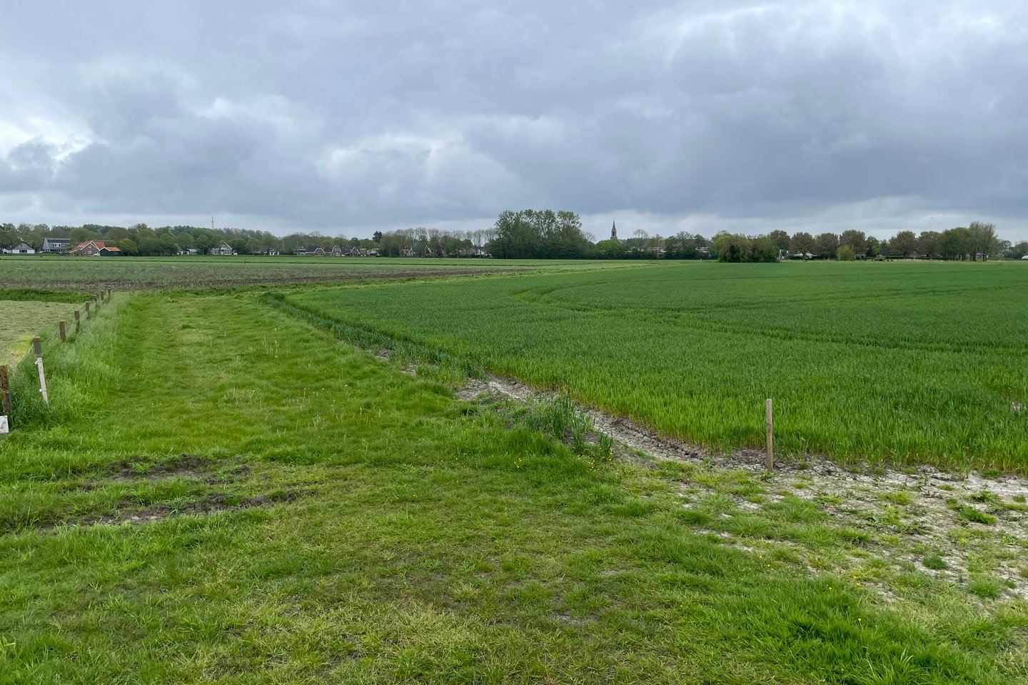 Bekijk foto 4 van Van der Lindenlaan