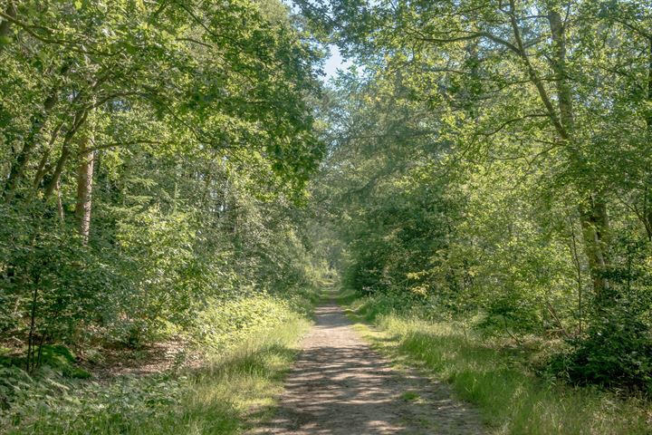 Bekijk foto 39 van Weerwilleweg 13