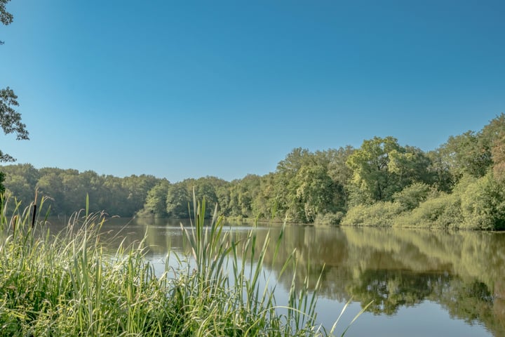 Bekijk foto 40 van Weerwilleweg 13