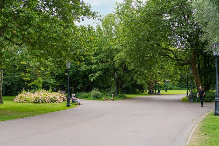 Bekijk foto 35 van Krugerplein 12-D