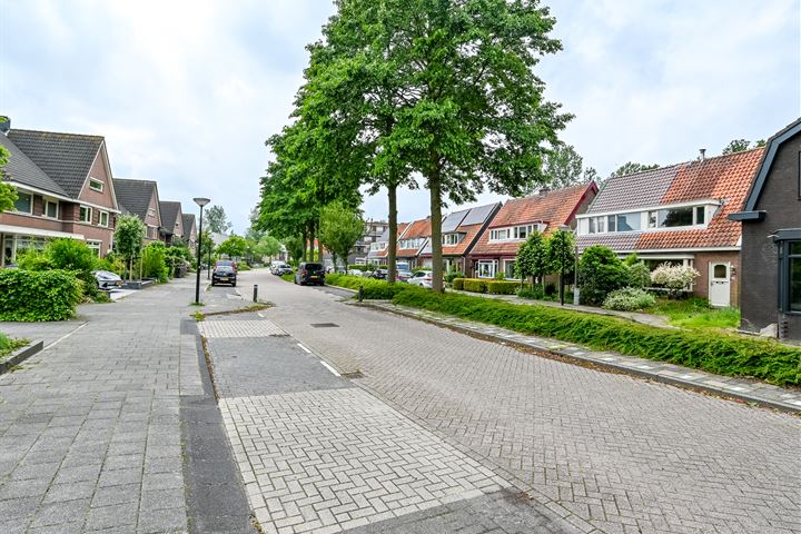 Bekijk foto 30 van Hoflanderweg 103