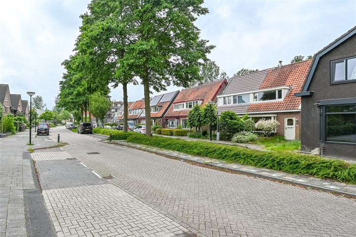 Bekijk foto 31 van Hoflanderweg 103