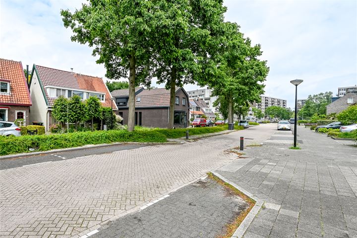 Bekijk foto 32 van Hoflanderweg 103