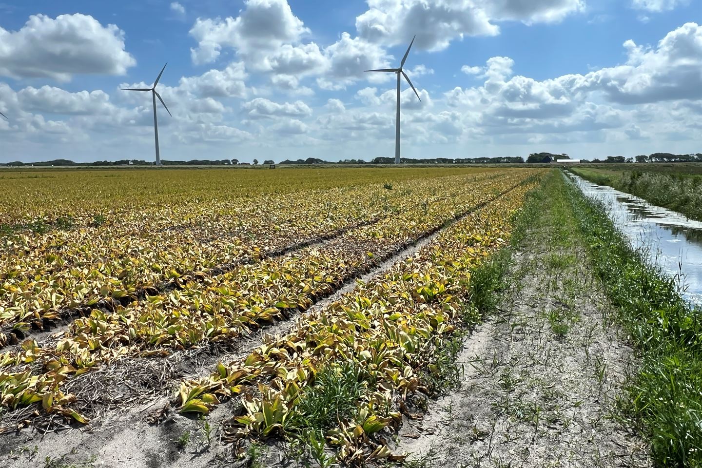 View photo 3 of Belkmerweg/Parallelweg