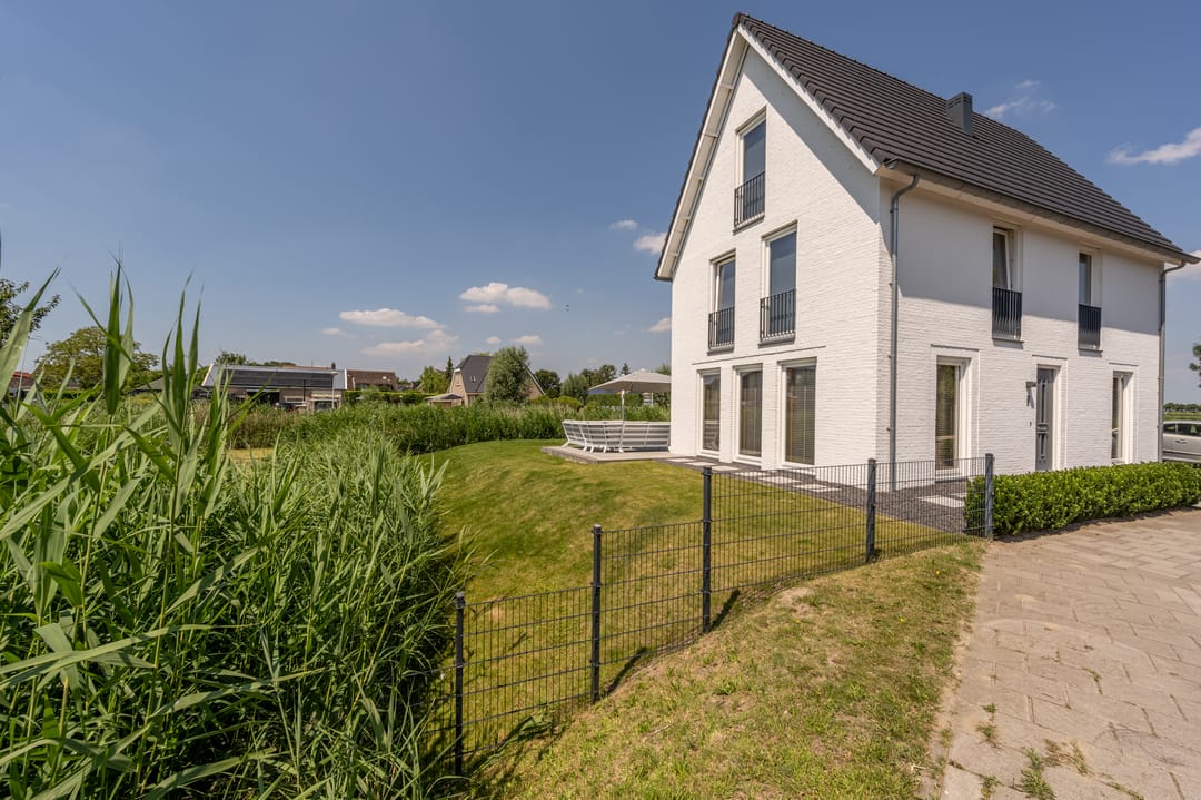 Foto 2 van Meerkoet 2