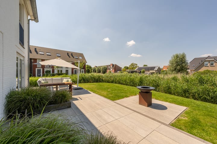 Foto 5 van Meerkoet 2