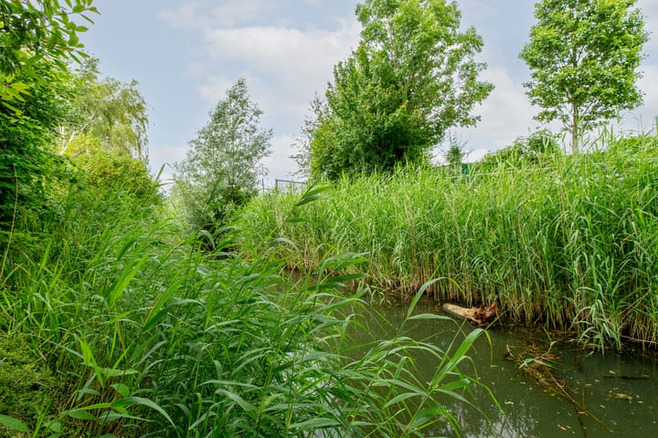 Foto 65 van Voordijk 504