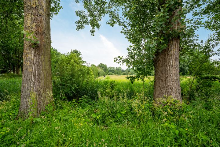 Bekijk foto 19 van Texel 43