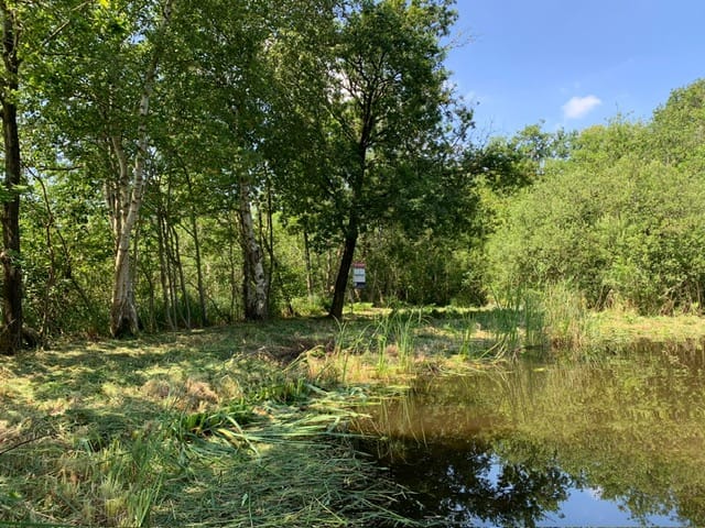 Foto 1 van Muyeveldse Wetering