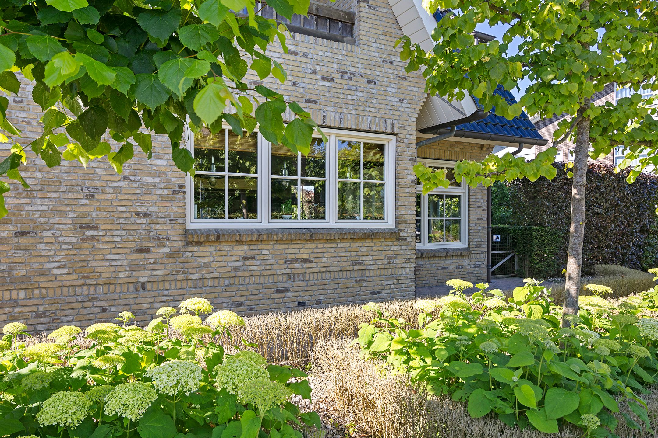 Photo 15 of Moleplaat 57