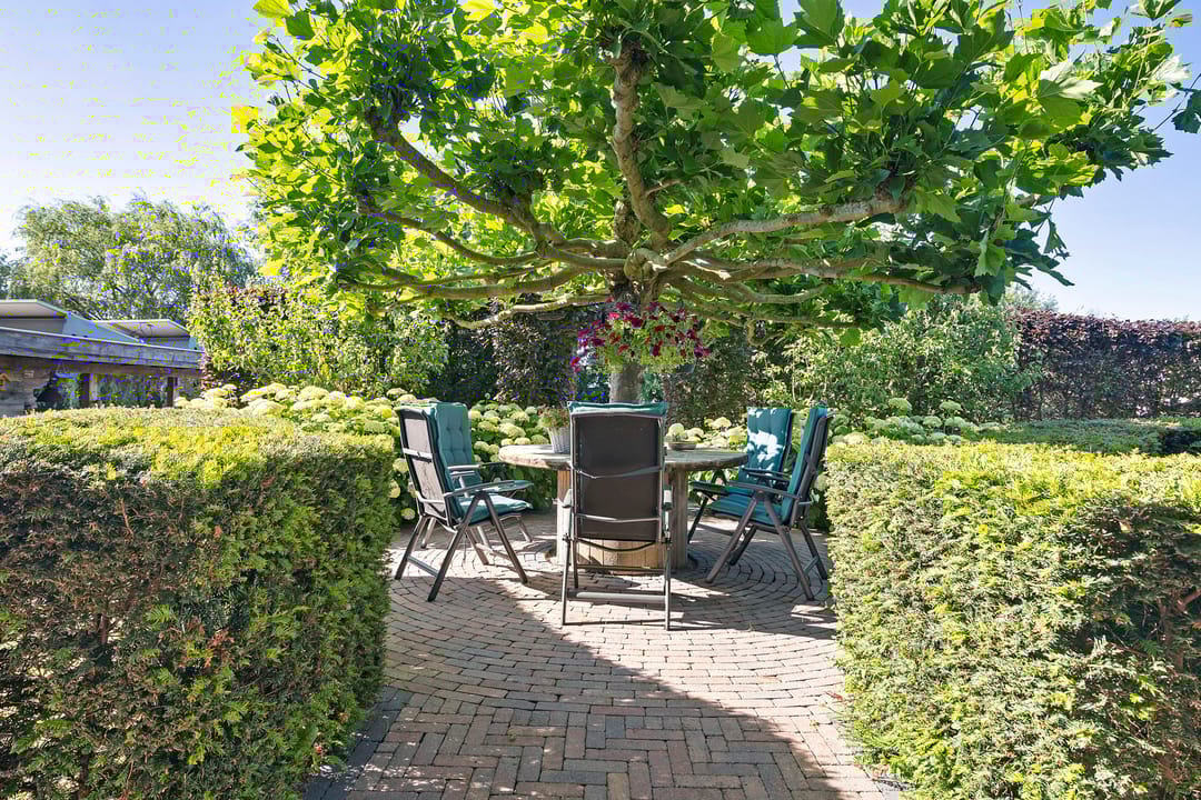 Photo 62 of Moleplaat 57