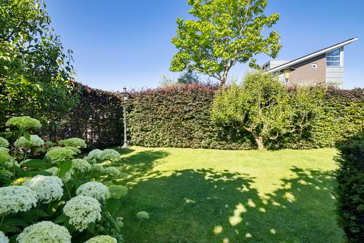 Photo 64 of Moleplaat 57