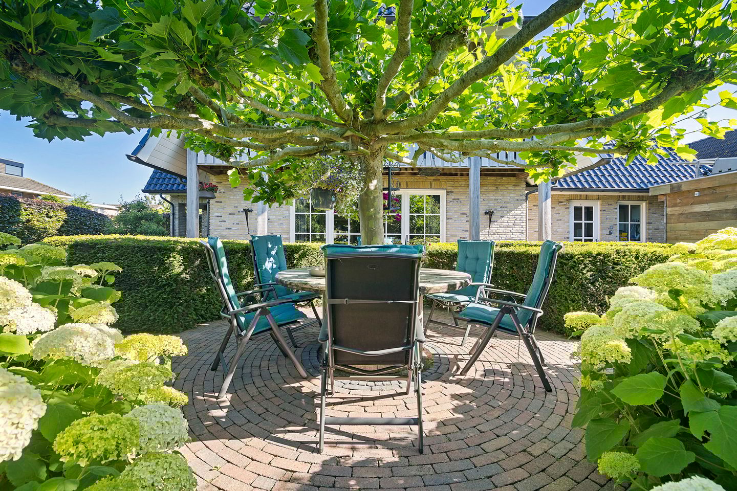 Photo 65 of Moleplaat 57