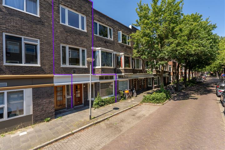 Bekijk foto van Professor Rankestraat 4