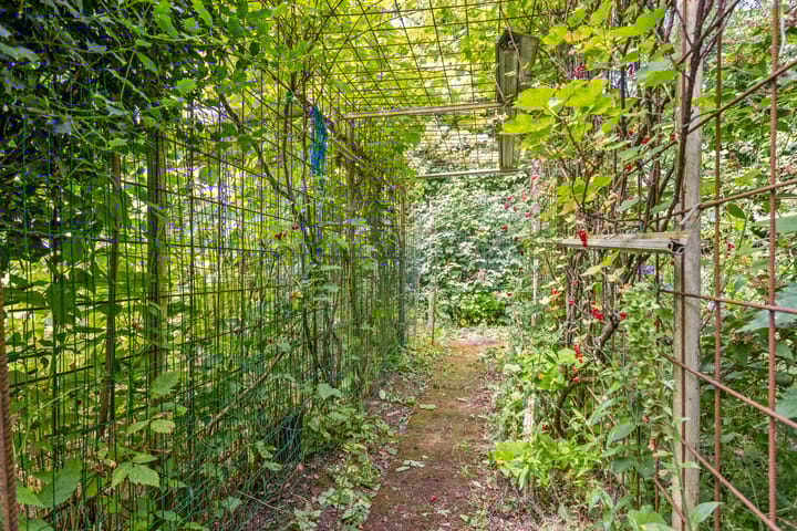 Foto 33 van Sprokkelveld 36