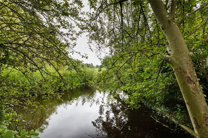 Bekijk foto 49 van 's-Gravenweg 31