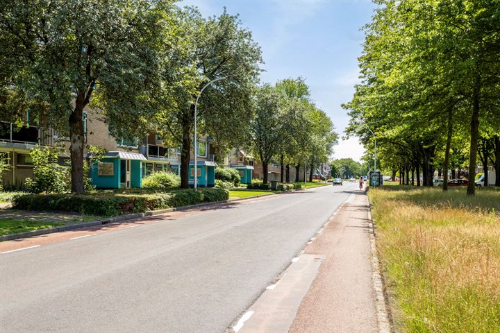 Bekijk foto 30 van Staringstraat 250