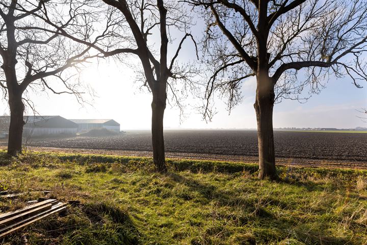 View photo 6 of Stadsedijk 95