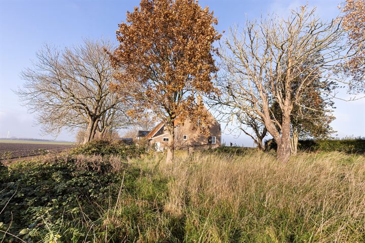 Bekijk foto 29 van Stadsedijk 95