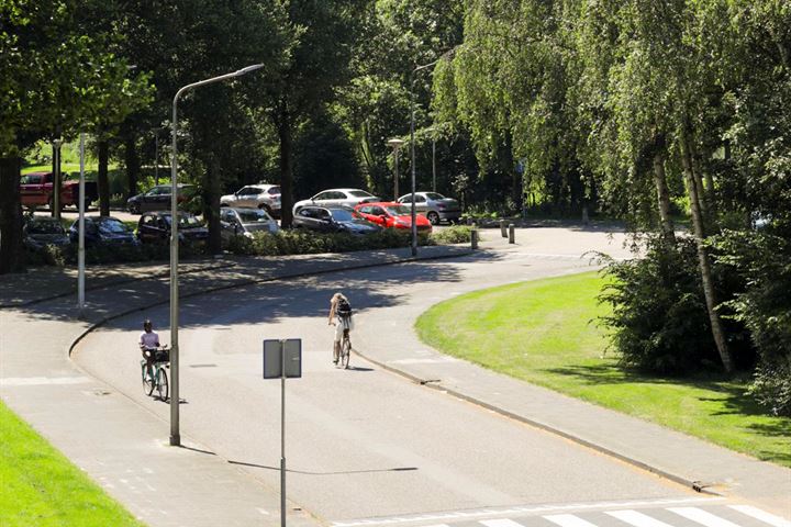 Bekijk foto 27 van Lindenlaan 499