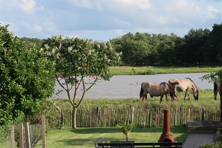 Bekijk foto 40 van Hoofdweg 46