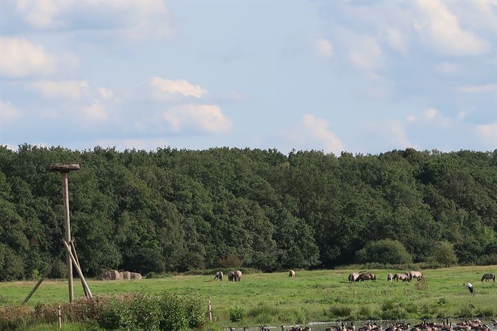 Bekijk foto 44 van Hoofdweg 46