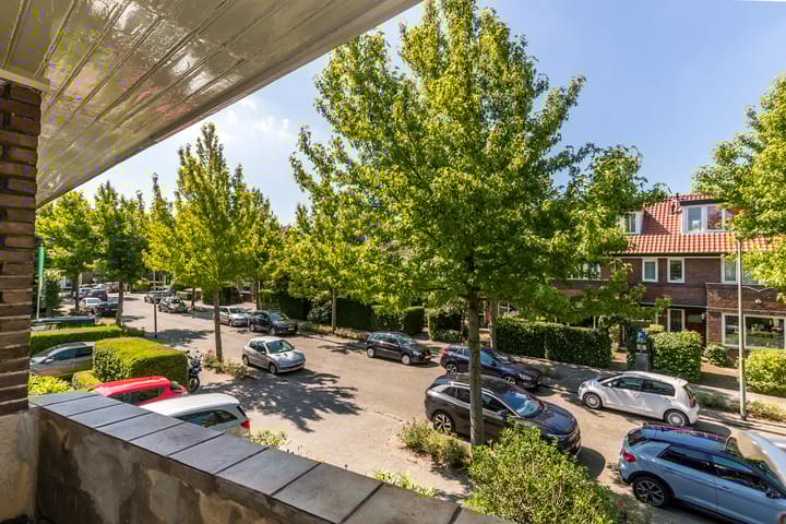 Foto 38 van Plasoord 13