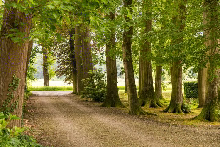 Photo 7 of Hasseltweg 29