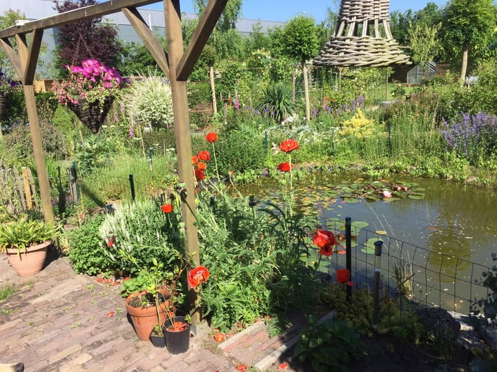 Photo 51 of Thijssenweg 2