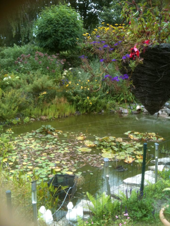 Photo 52 of Thijssenweg 2