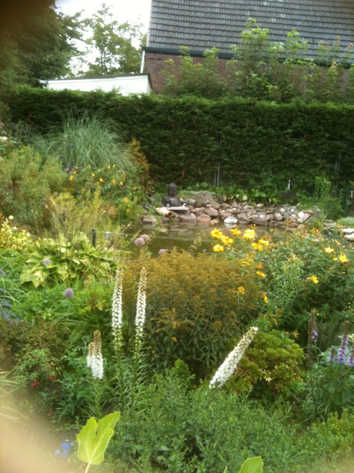 Photo 53 of Thijssenweg 2