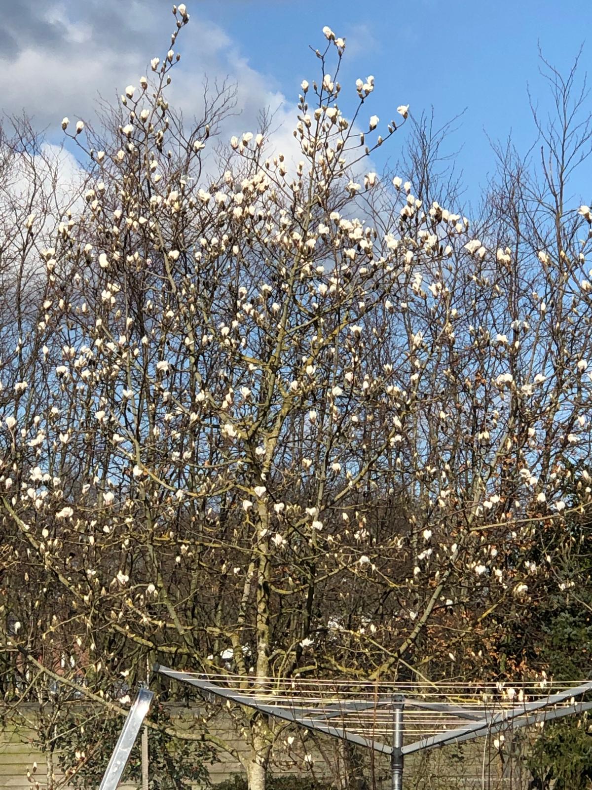 Foto 54 van Thijssenweg 2