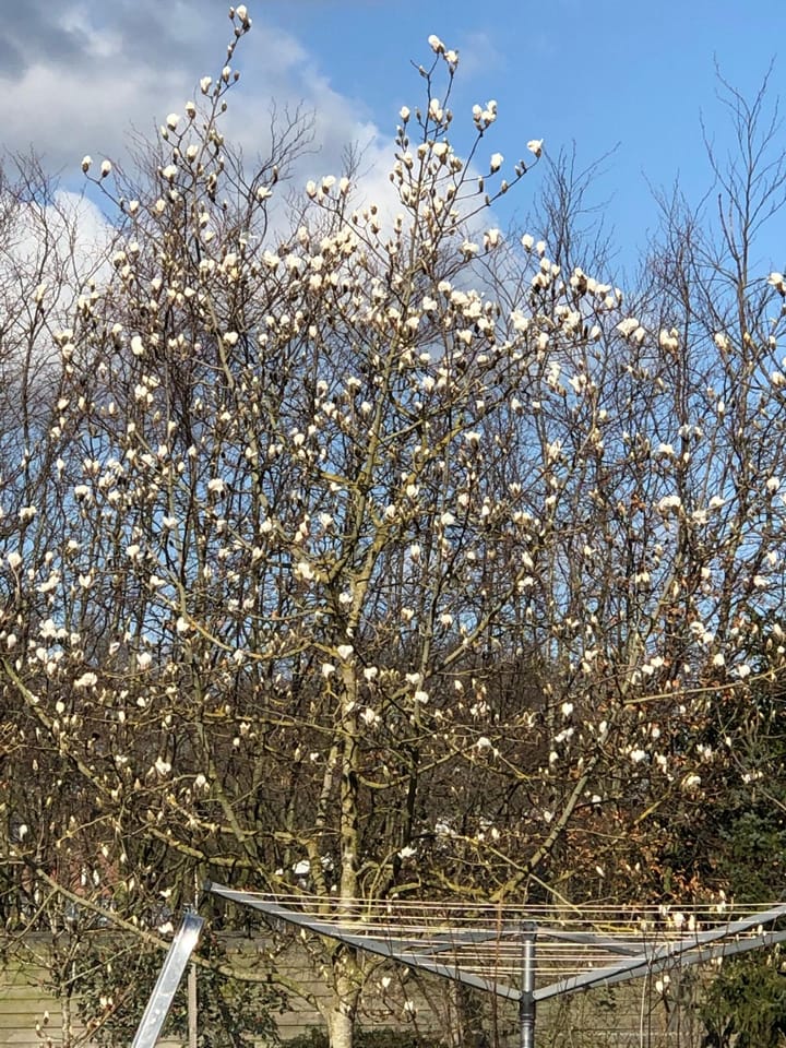 Photo 54 of Thijssenweg 2