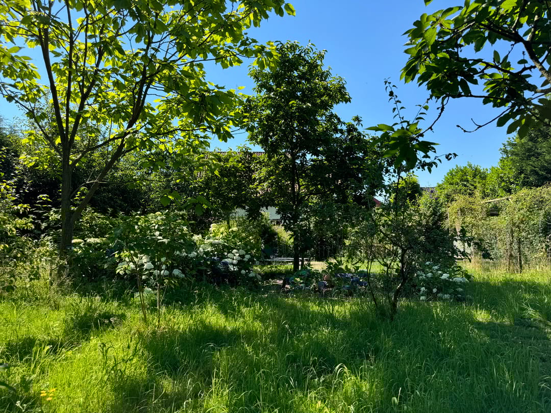 Foto 68 van Thijssenweg 2