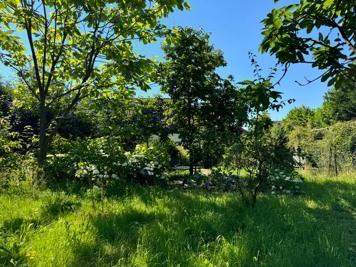 Photo 68 of Thijssenweg 2