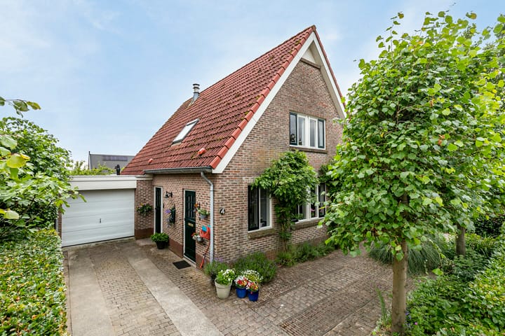 undefined main image