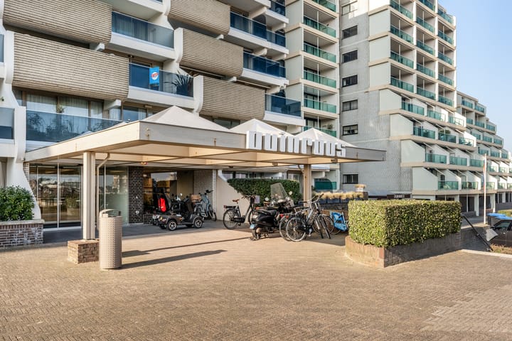 Foto 4 van Duinroos 31