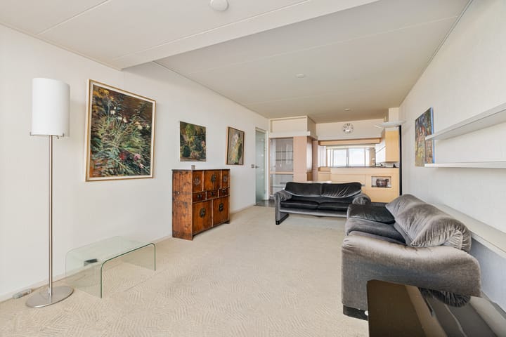 Foto 7 van Duinroos 31