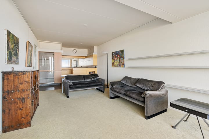 Foto 8 van Duinroos 31